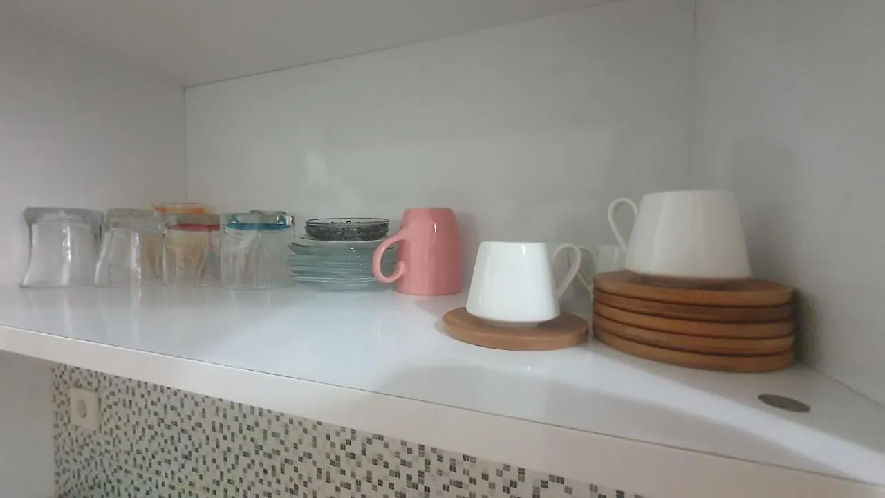 Flat In Bayrampasa Apartment Istanbul Turkey